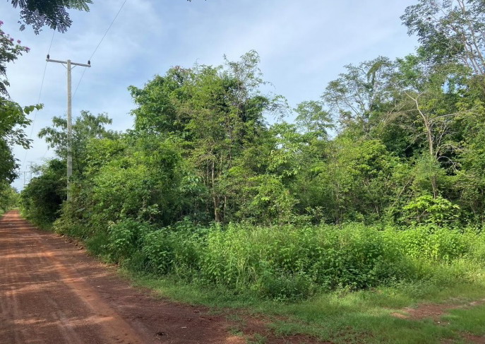 รูปที่ดินว่างเปล่า แวง สว่างแดนดิน สกลนคร
