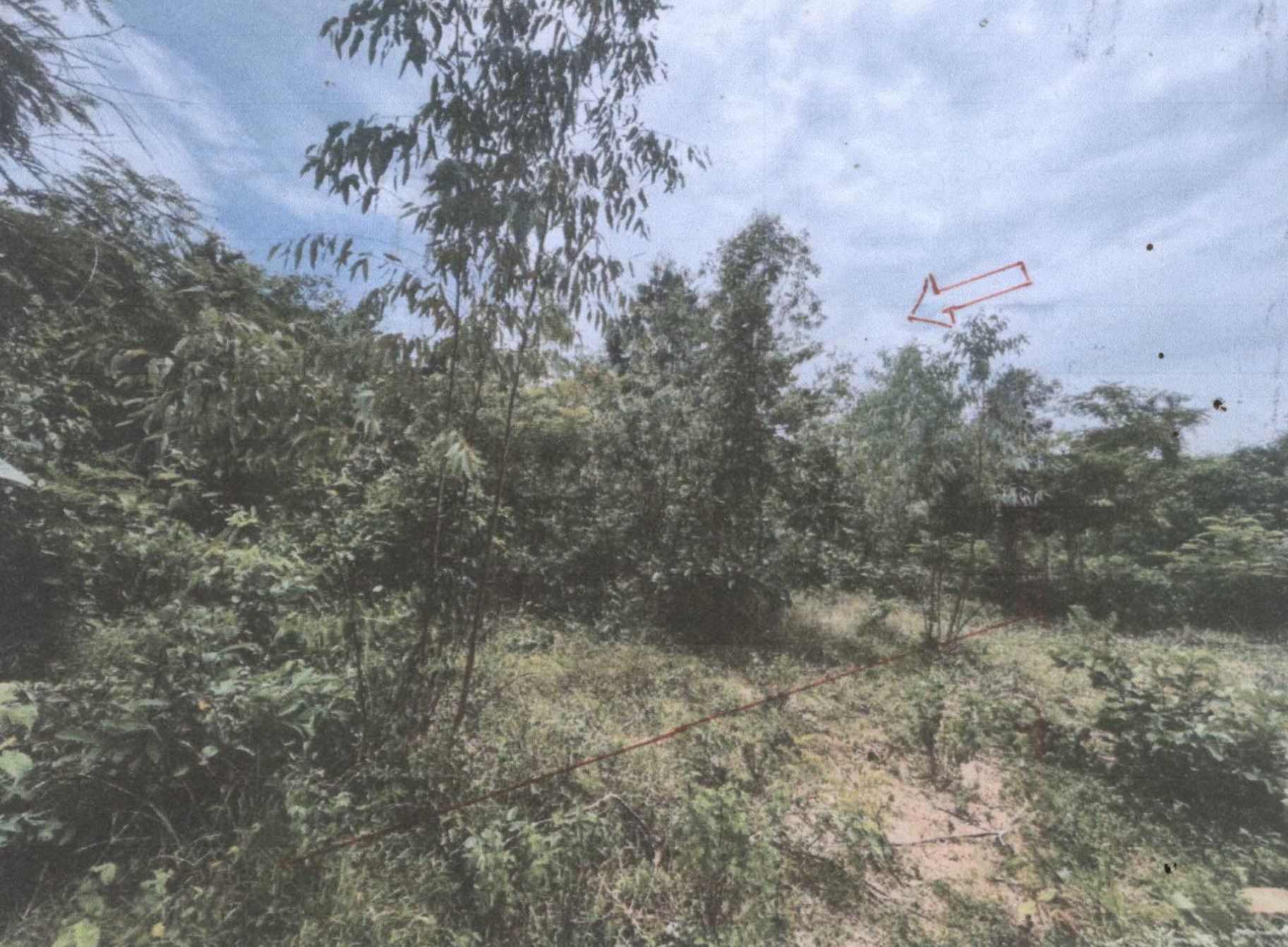 รูปที่ดินว่างเปล่า ขั้นไดใหญ่ เมืองยโสธร ยโสธร