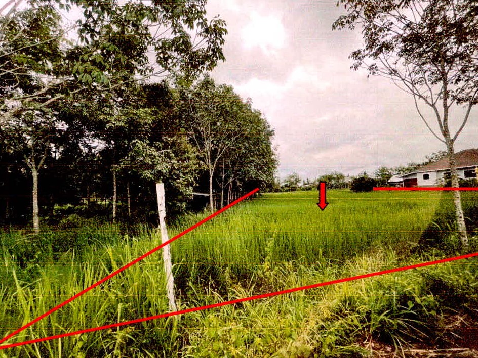 รูปที่ดินว่างเปล่า พรหมสวัสดิ์ พยุห์ ศรีสะเกษ