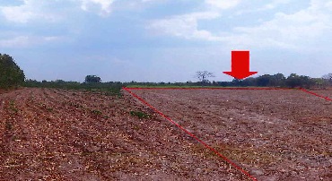 รูปที่ดินว่างเปล่า โนนท่อน เมืองขอนแก่น ขอนแก่น