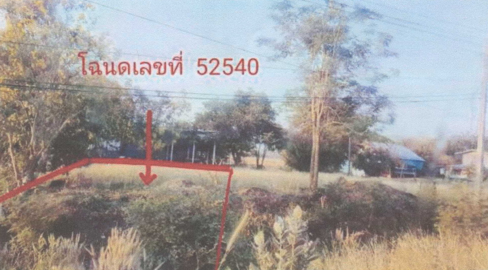 รูปที่ดินว่างเปล่า นิคมเขาบ่อแก้ว พยุหะคีรี นครสวรรค์
