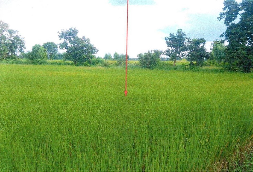 รูปที่ดินว่างเปล่า โคกสูง เมืองนครราชสีมา นครราชสีมา