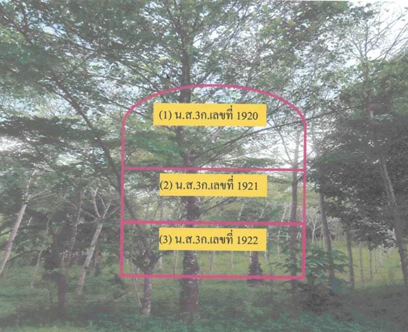 รูปที่ดินว่างเปล่า ซากอ ศรีสาคร นราธิวาส