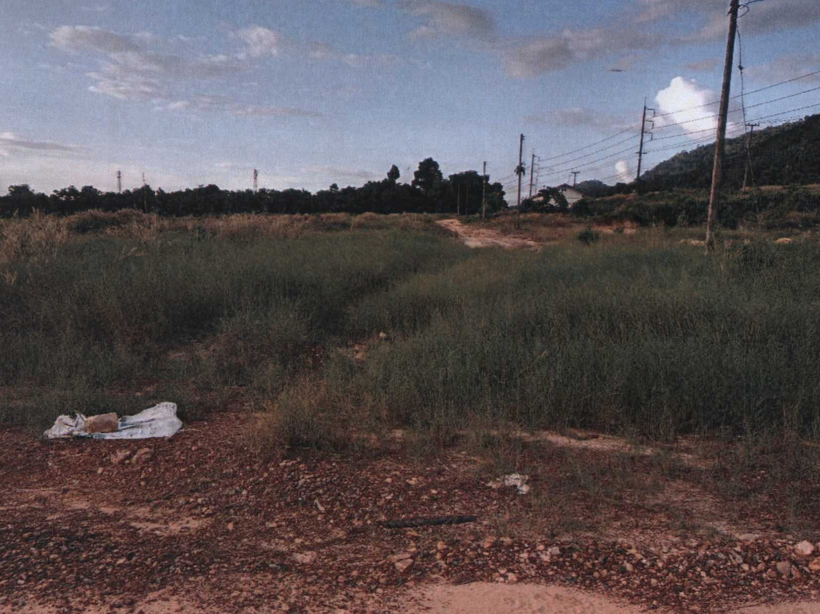 รูปที่ดินพร้อมสิ่งปลูกสร้าง ไม้รูด คลองใหญ่ ตราด