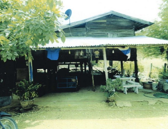 รูปที่ดินพร้อมสิ่งปลูกสร้าง ดงขุย ชนแดน เพชรบูรณ์