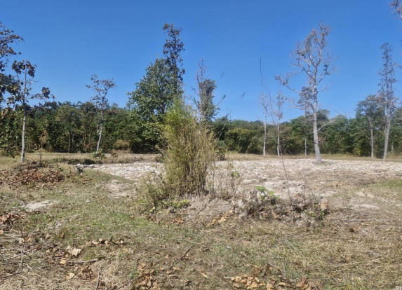 รูปที่ดินว่างเปล่า กุดชมภู พิบูลมังสาหาร อุบลราชธานี
