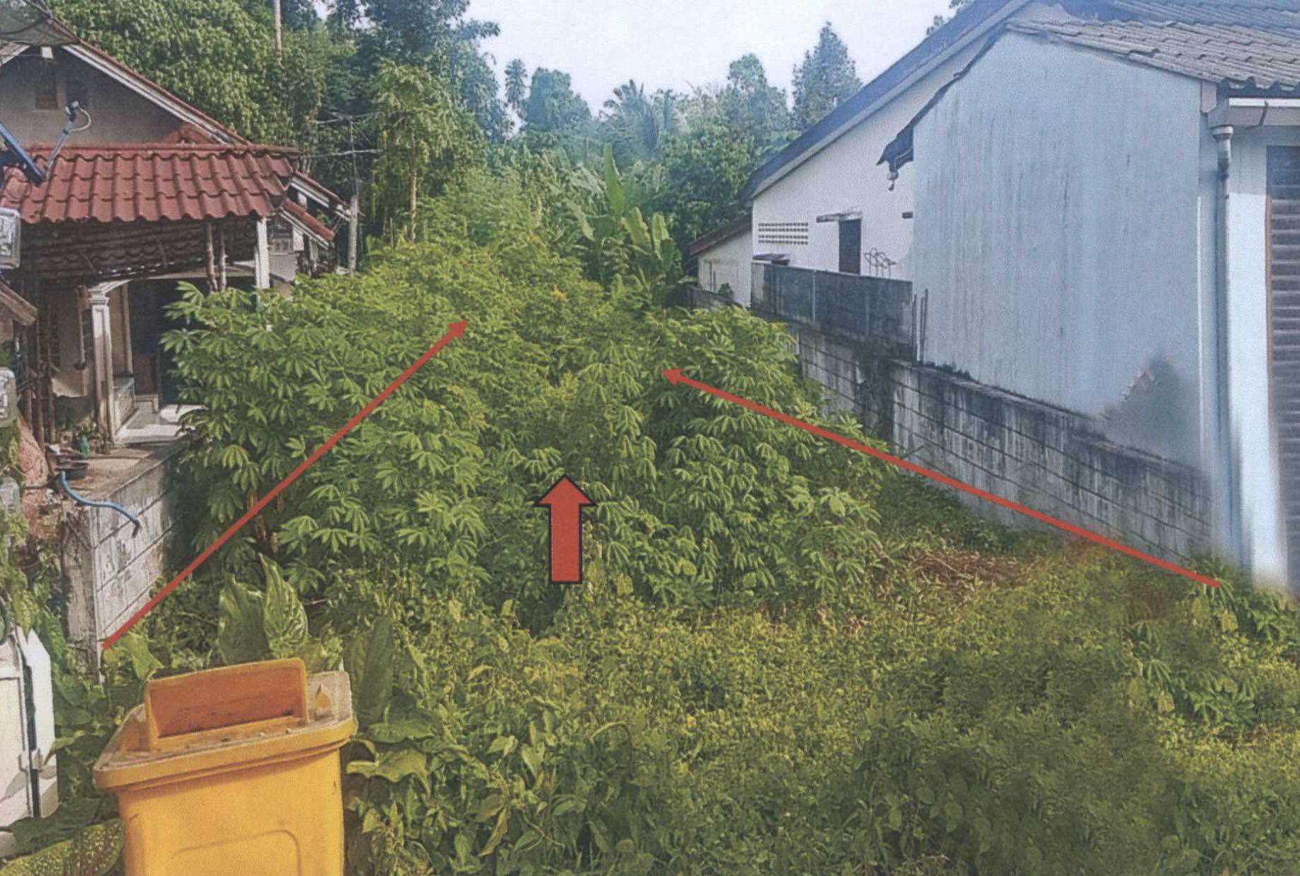 รูปที่ดินว่างเปล่า กะไหล ตะกั่วทุ่ง พังงา