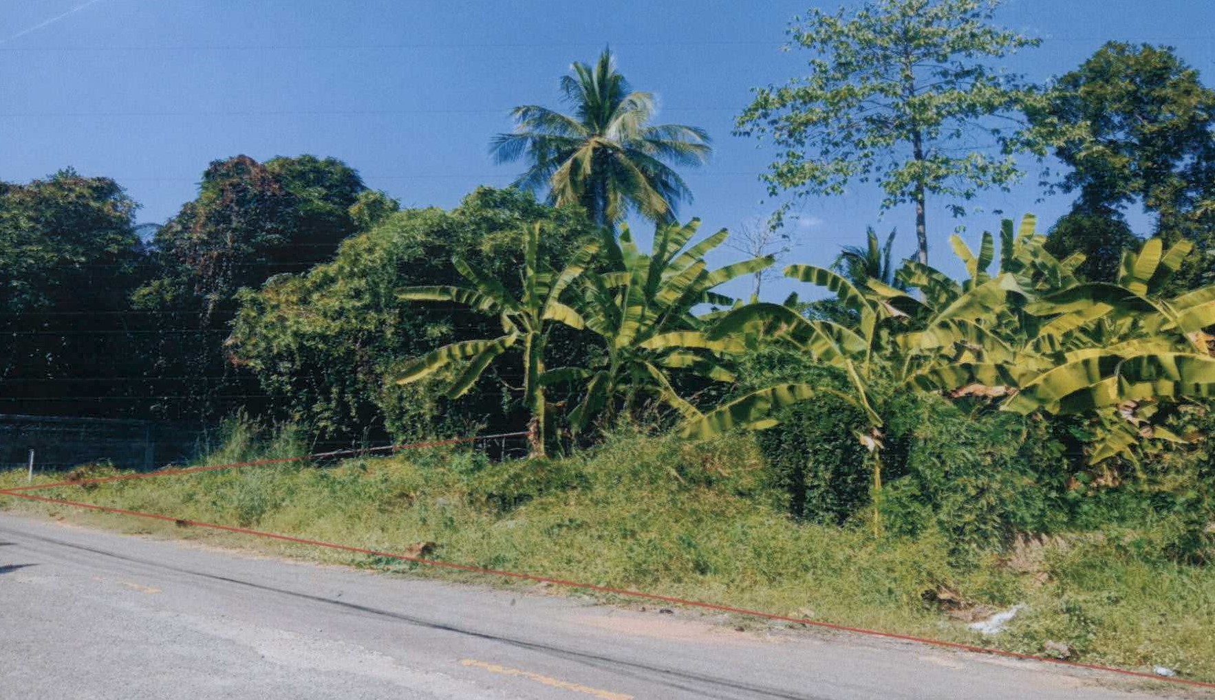 รูปที่ดินว่างเปล่า วังแดง ตรอน อุตรดิตถ์