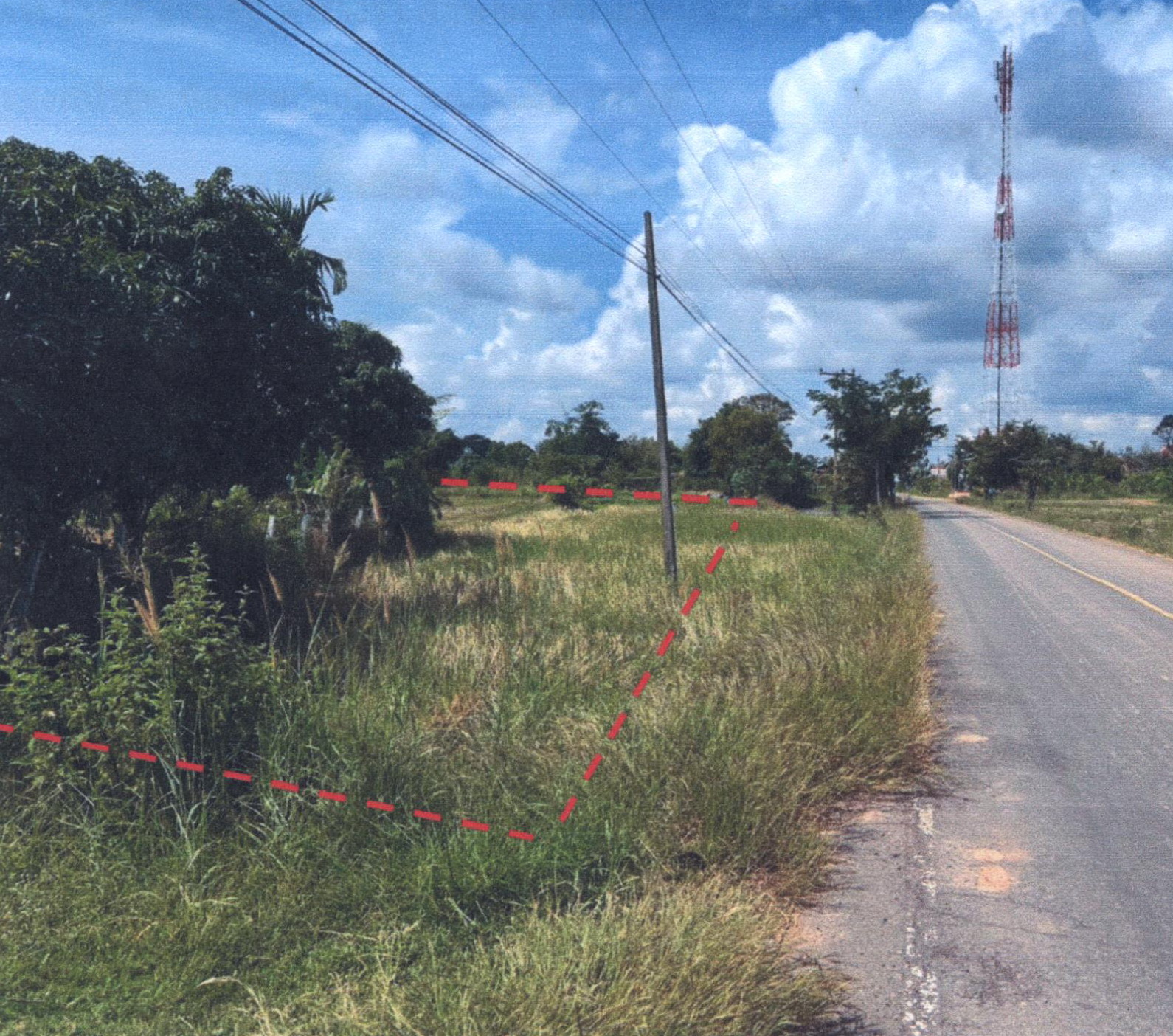 รูปที่ดินว่างเปล่า หนองไผ่ล้อม สำโรงทาบ สุรินทร์