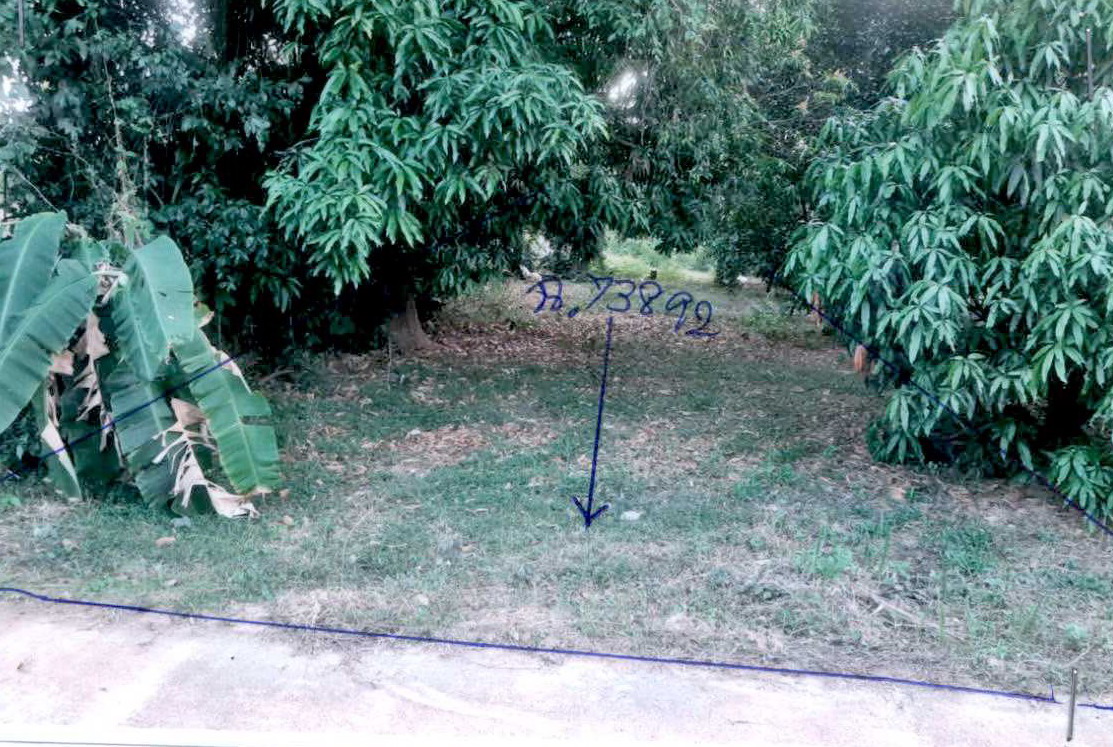 รูปที่ดินว่างเปล่า นางรอง นางรอง บุรีรัมย์