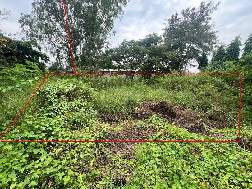 รูปที่ดินว่างเปล่า น้ำอ้อม กันทรลักษ์ ศรีสะเกษ