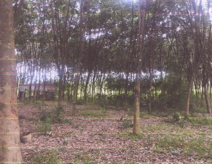 รูปที่ดินว่างเปล่า เทพคีรี นาวัง หนองบัวลำภู