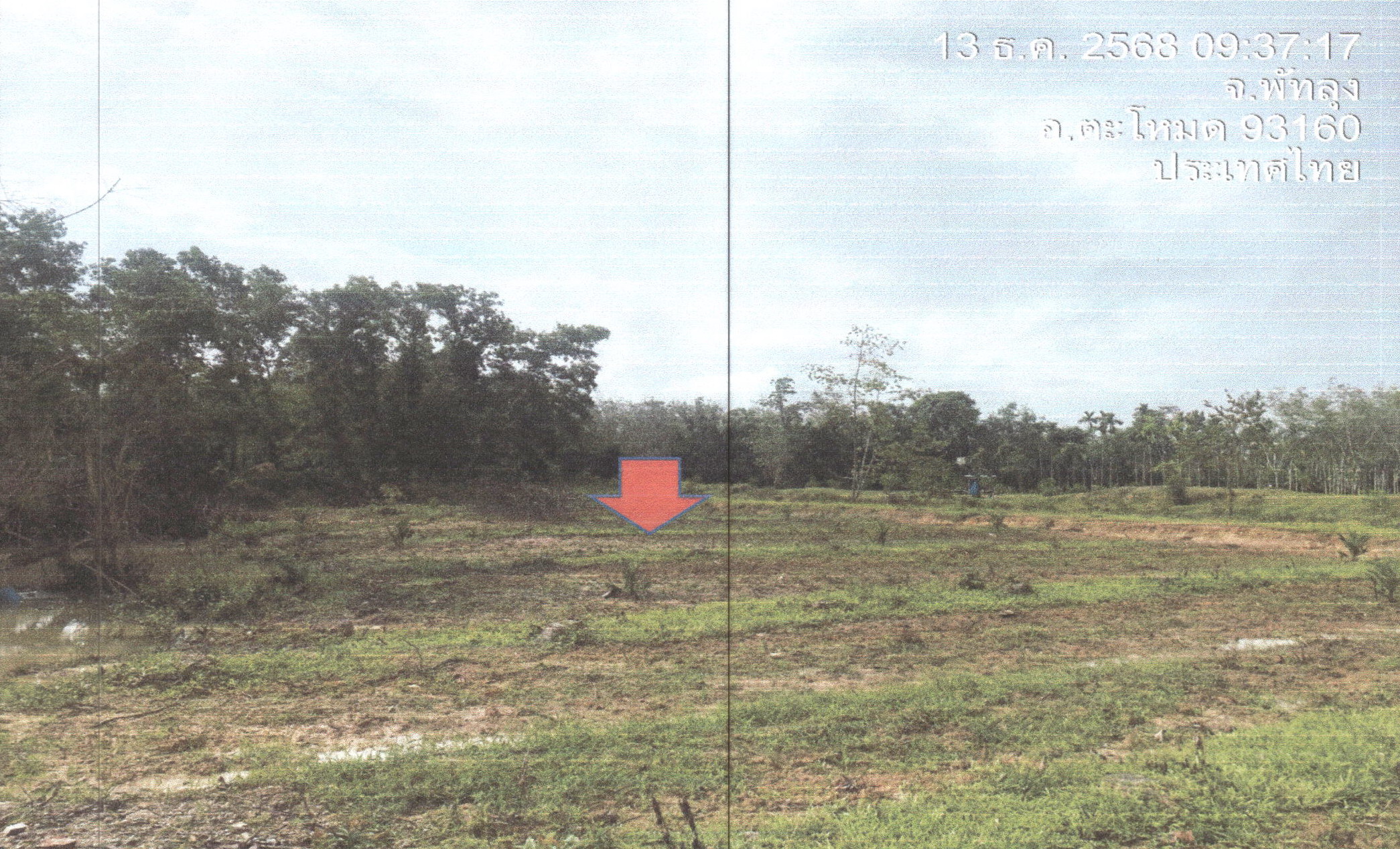 รูปที่ดินว่างเปล่า แม่ขรี ตะโหมด พัทลุง