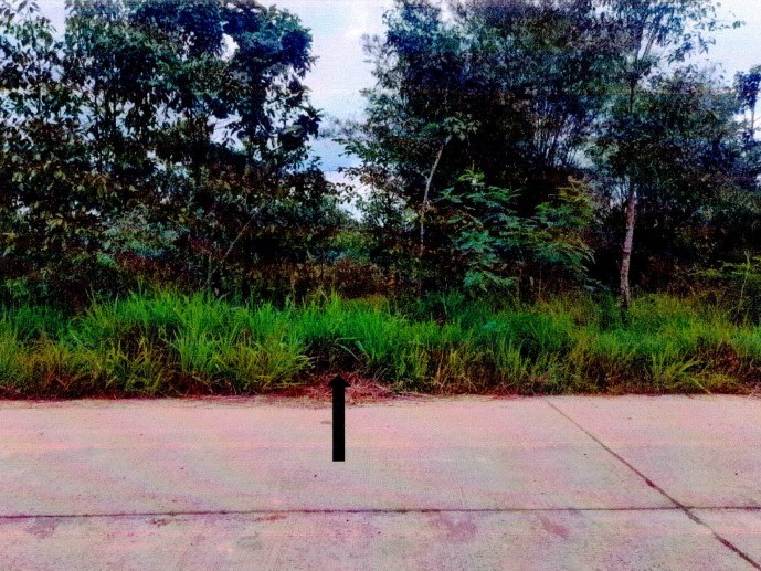 รูปที่ดินว่างเปล่า หนองปลาปาก ศรีเชียงใหม่ หนองคาย