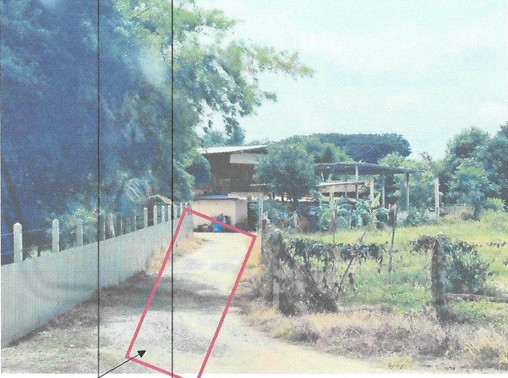 รูปที่ดินว่างเปล่า ท่าฉนวน มโนรมย์ ชัยนาท