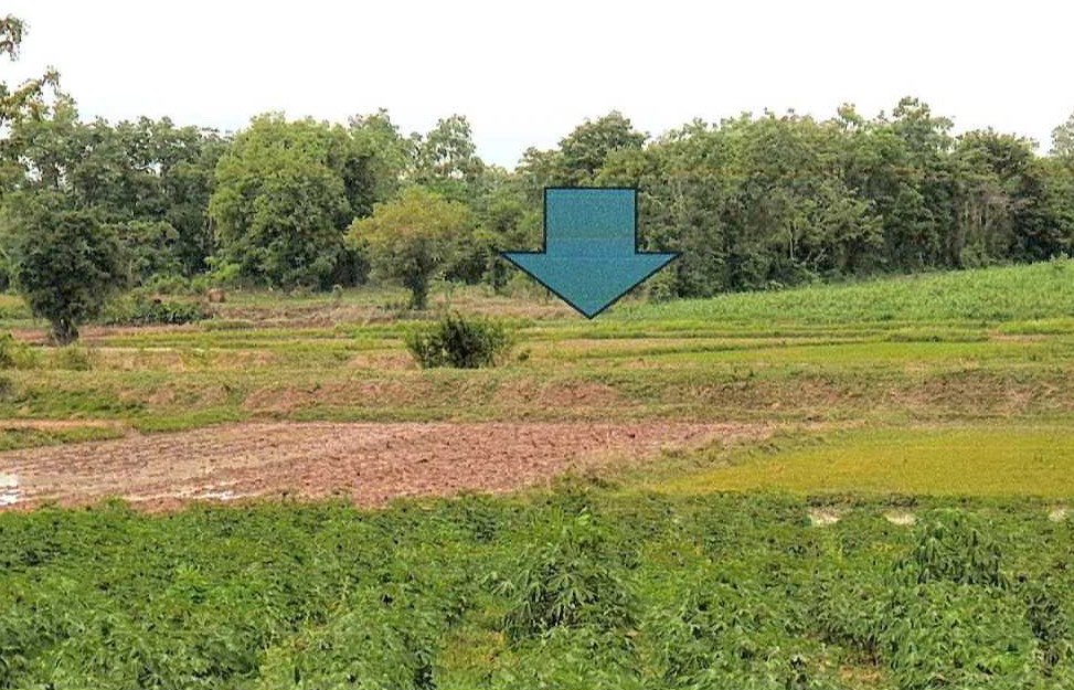 รูปที่ดินว่างเปล่า หนองภัยศูนย์ เมืองหนองบัวลำภู หนองบัวลำภู