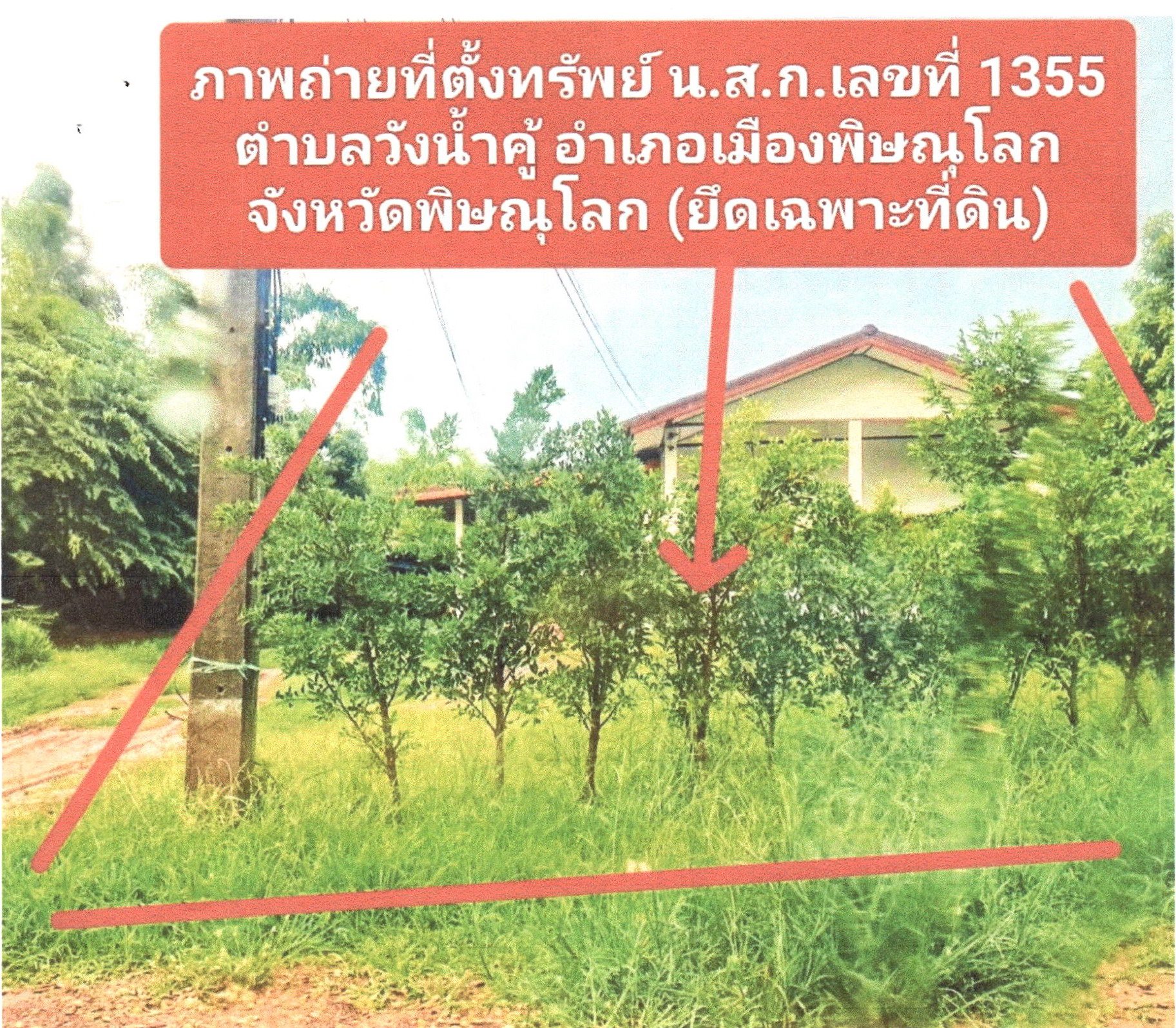 รูปที่ดินว่างเปล่า วังน้ำคู้ เมืองพิษณุโลก พิษณุโลก