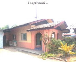 รูปที่ดินพร้อมสิ่งปลูกสร้าง ม่อนปิ่น ฝาง เชียงใหม่