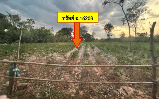 รูปที่ดินว่างเปล่า ไค้นุ่น ห้วยผึ้ง กาฬสินธุ์
