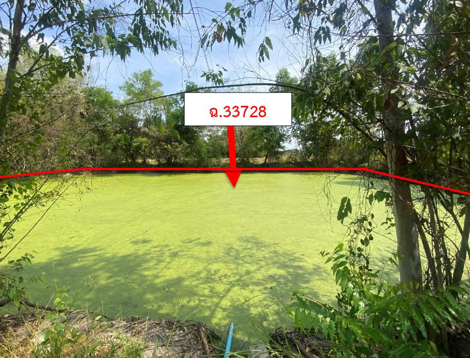 รูปที่ดินว่างเปล่า พิกุลออก บ้านนา นครนายก