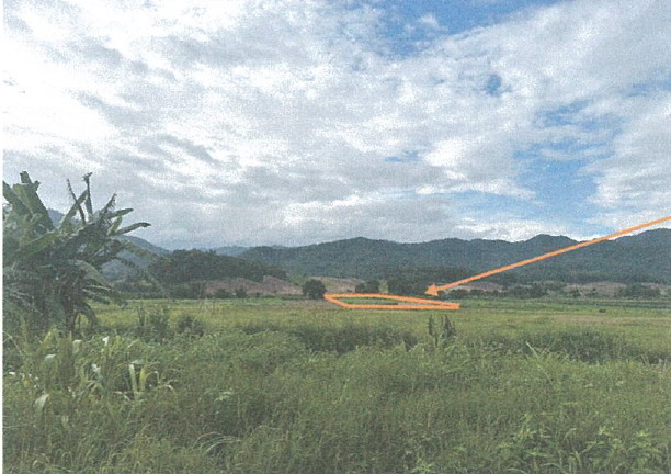 รูปที่ดินว่างเปล่า เมืองแปง ปาย แม่ฮ่องสอน