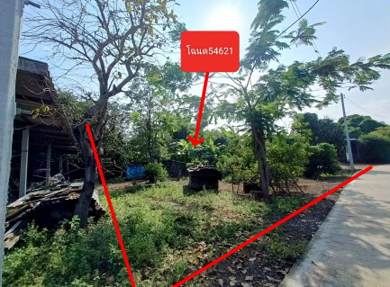 รูปที่ดินว่างเปล่า รังกาใหญ่ พิมาย นครราชสีมา