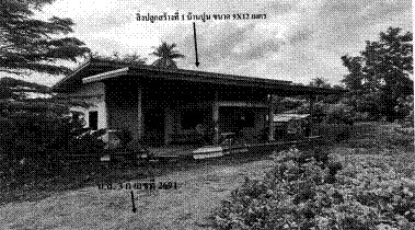 รูปที่ดินพร้อมสิ่งปลูกสร้าง ศิลาทิพย์ ชัยบาดาล ลพบุรี