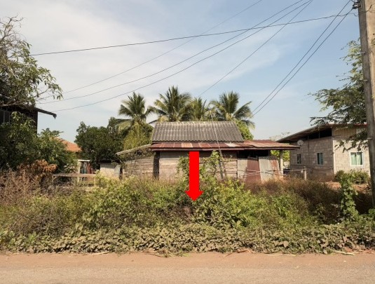 รูปที่ดินว่างเปล่า สระพัง บ้านแท่น ชัยภูมิ