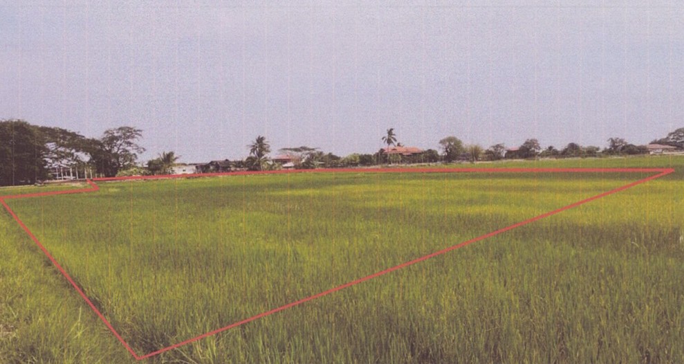 รูปที่ดินว่างเปล่า ชะโนด หว้านใหญ่ มุกดาหาร