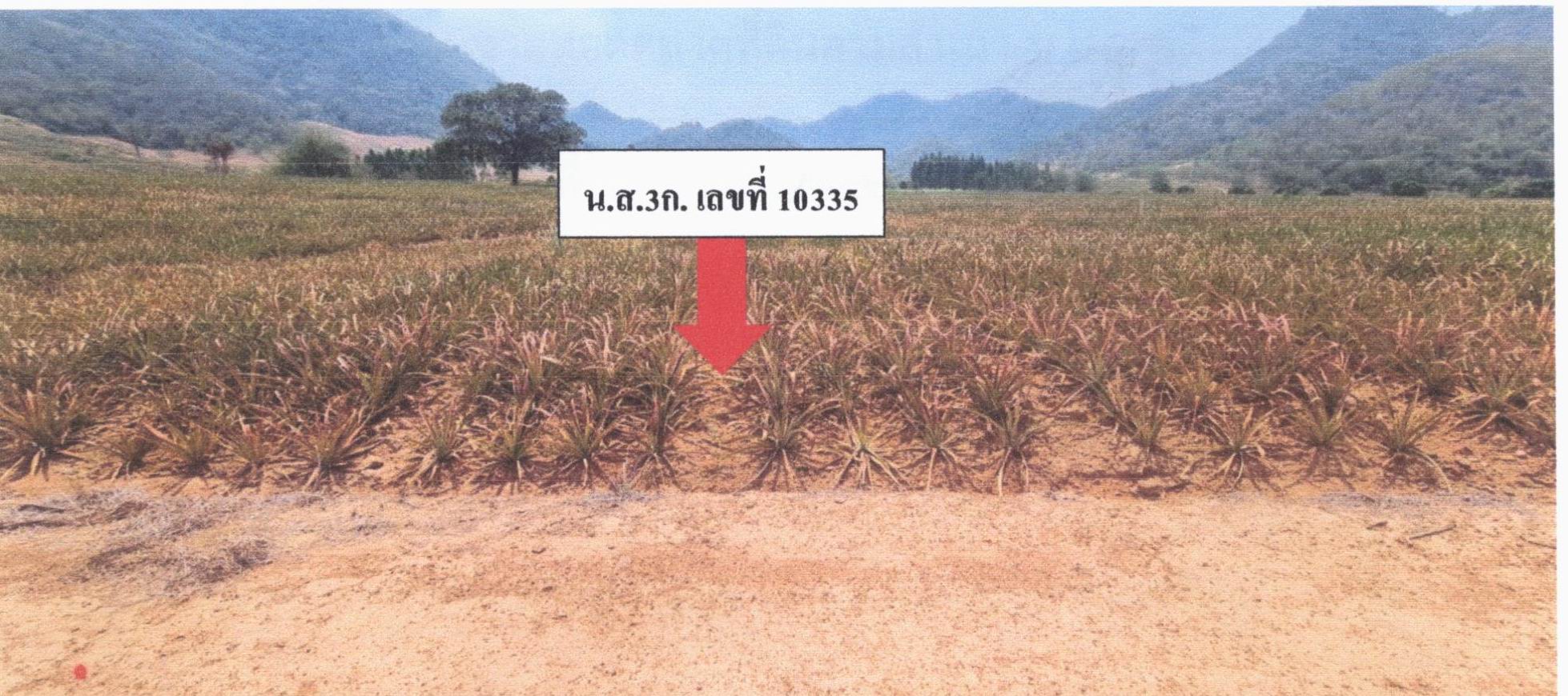 รูปที่ดินว่างเปล่า ทับใต้ หัวหิน ประจวบคีรีขันธ์