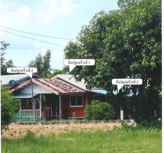 รูปที่ดินพร้อมสิ่งปลูกสร้าง บ้านโภชน์ หนองไผ่ เพชรบูรณ์