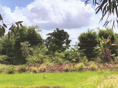 รูปที่ดินว่างเปล่า โพนแพง อากาศอำนวย สกลนคร