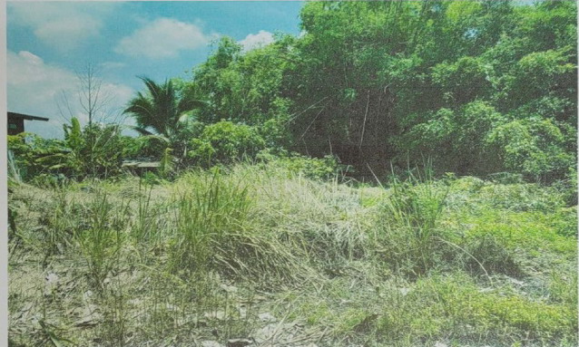 รูปที่ดินว่างเปล่า ทองหลาง บ้านนา นครนายก