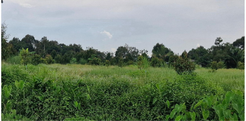 รูปที่ดินว่างเปล่า อ่างคีรี มะขาม จันทบุรี