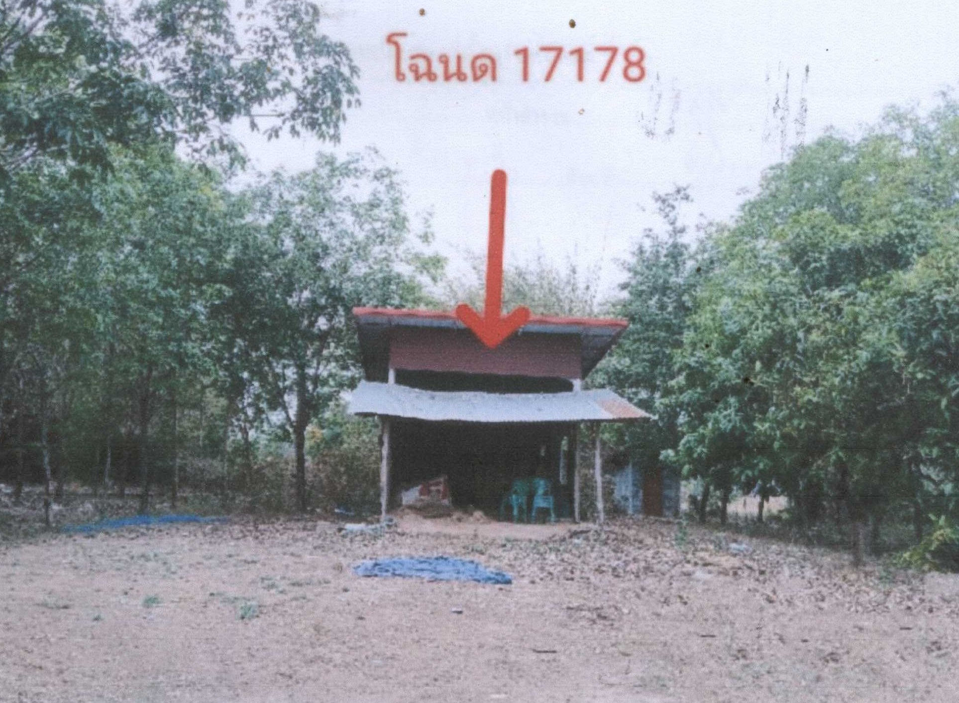 รูปที่ดินพร้อมสิ่งปลูกสร้าง ไทยเจริญ ไทยเจริญ ยโสธร