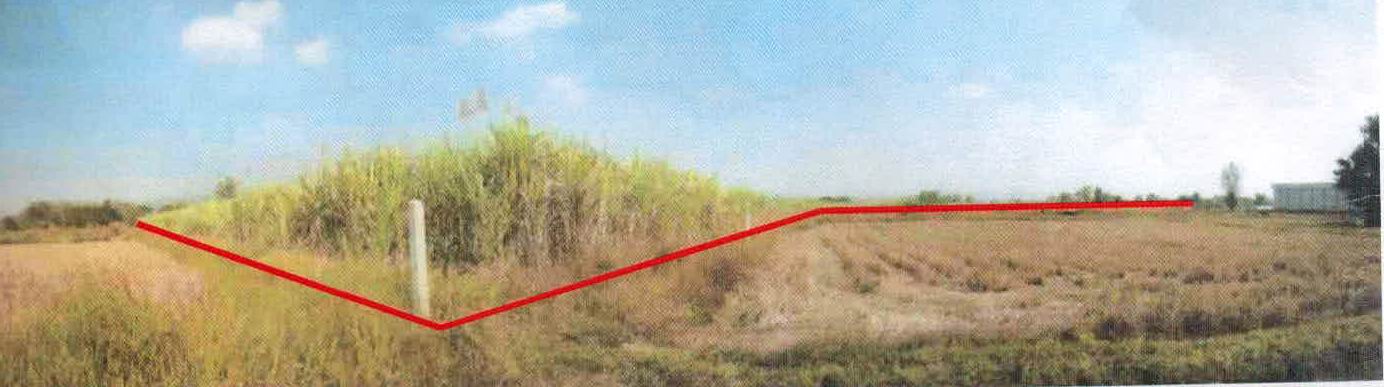 รูปที่ดินว่างเปล่า หนองภัยศูนย์ เมืองหนองบัวลำภู หนองบัวลำภู