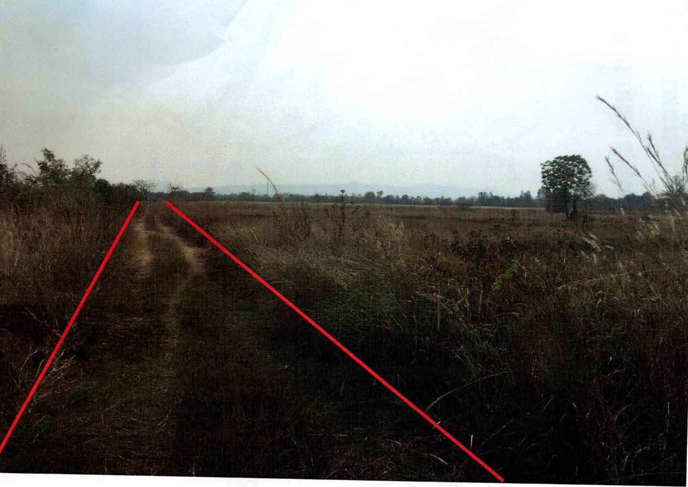 รูปที่ดินว่างเปล่า หนองภัยศูนย์ เมืองหนองบัวลำภู หนองบัวลำภู