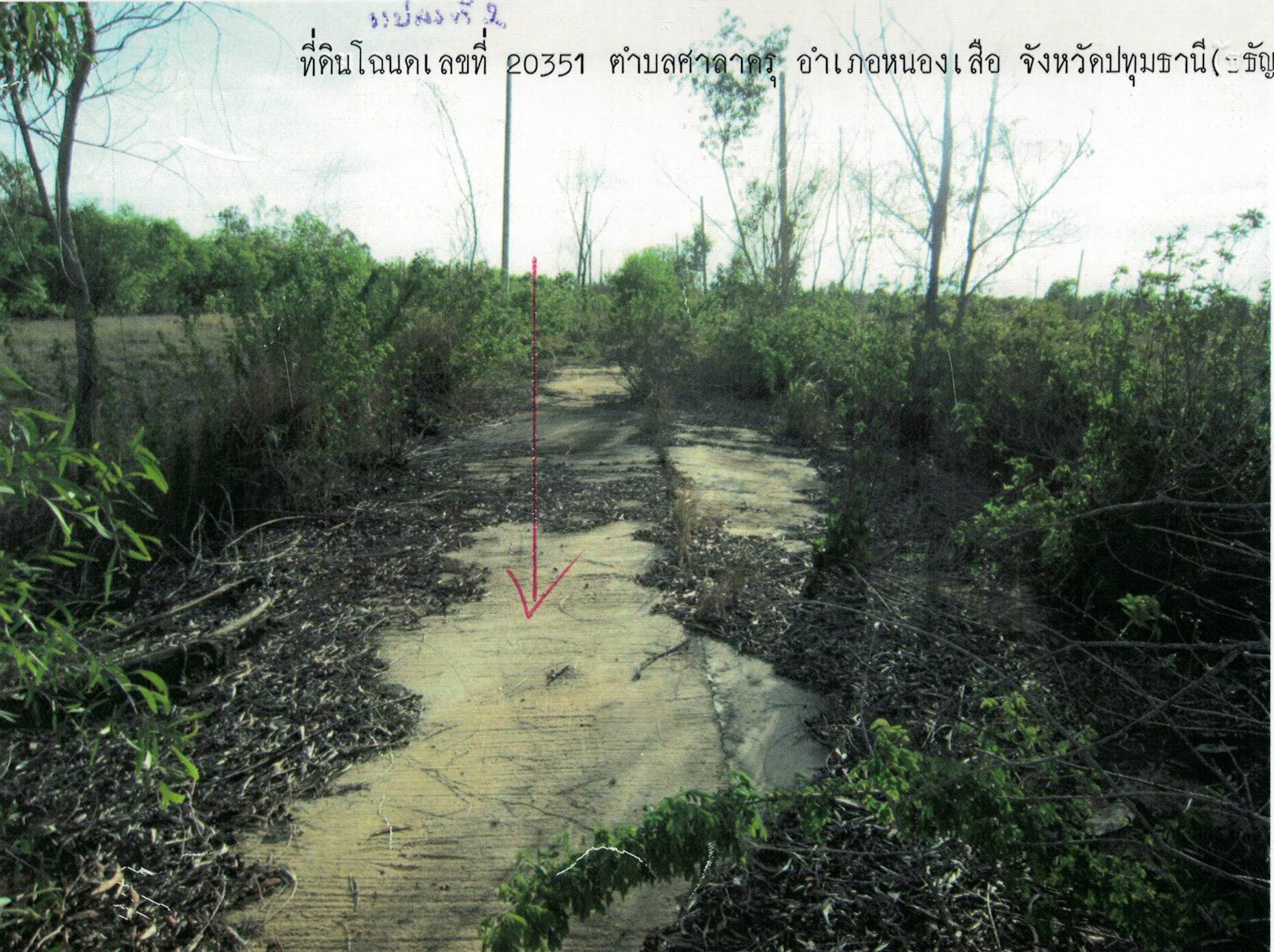 รูปที่ดินว่างเปล่า ศาลาครุ หนองเสือ ปทุมธานี
