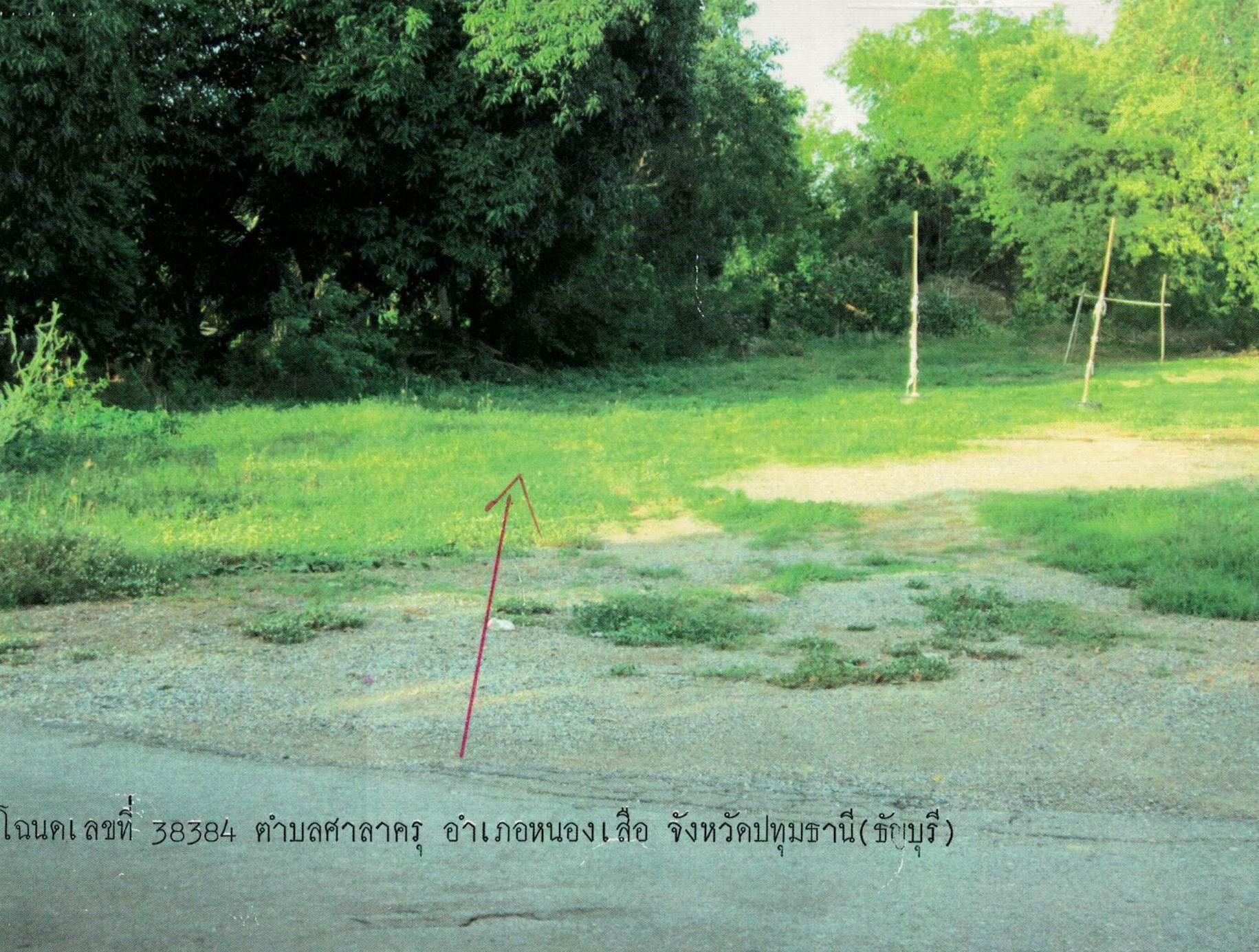 รูปที่ดินว่างเปล่า ศาลาครุ หนองเสือ ปทุมธานี