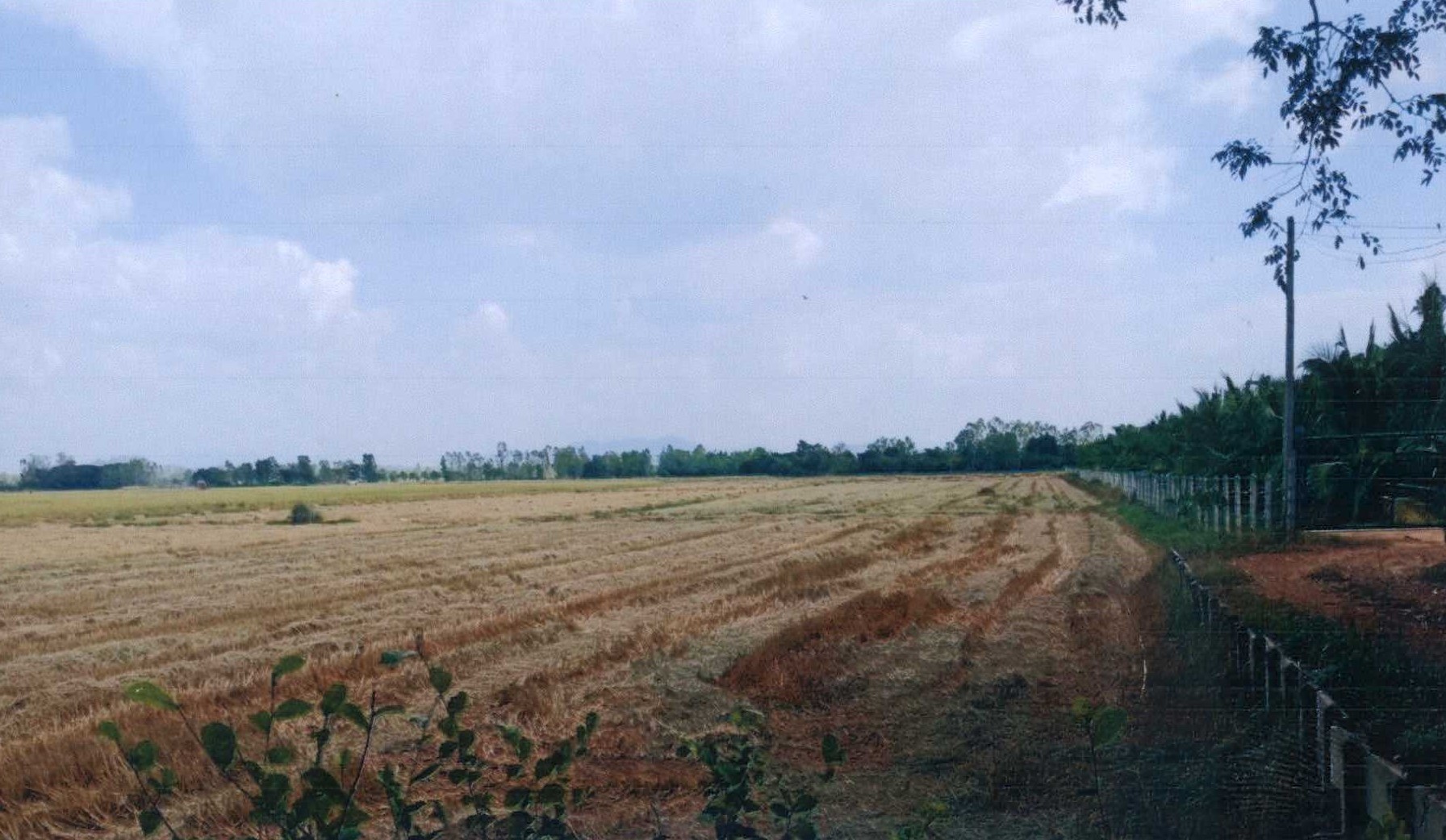 รูปที่ดินว่างเปล่า วังแดง ตรอน อุตรดิตถ์