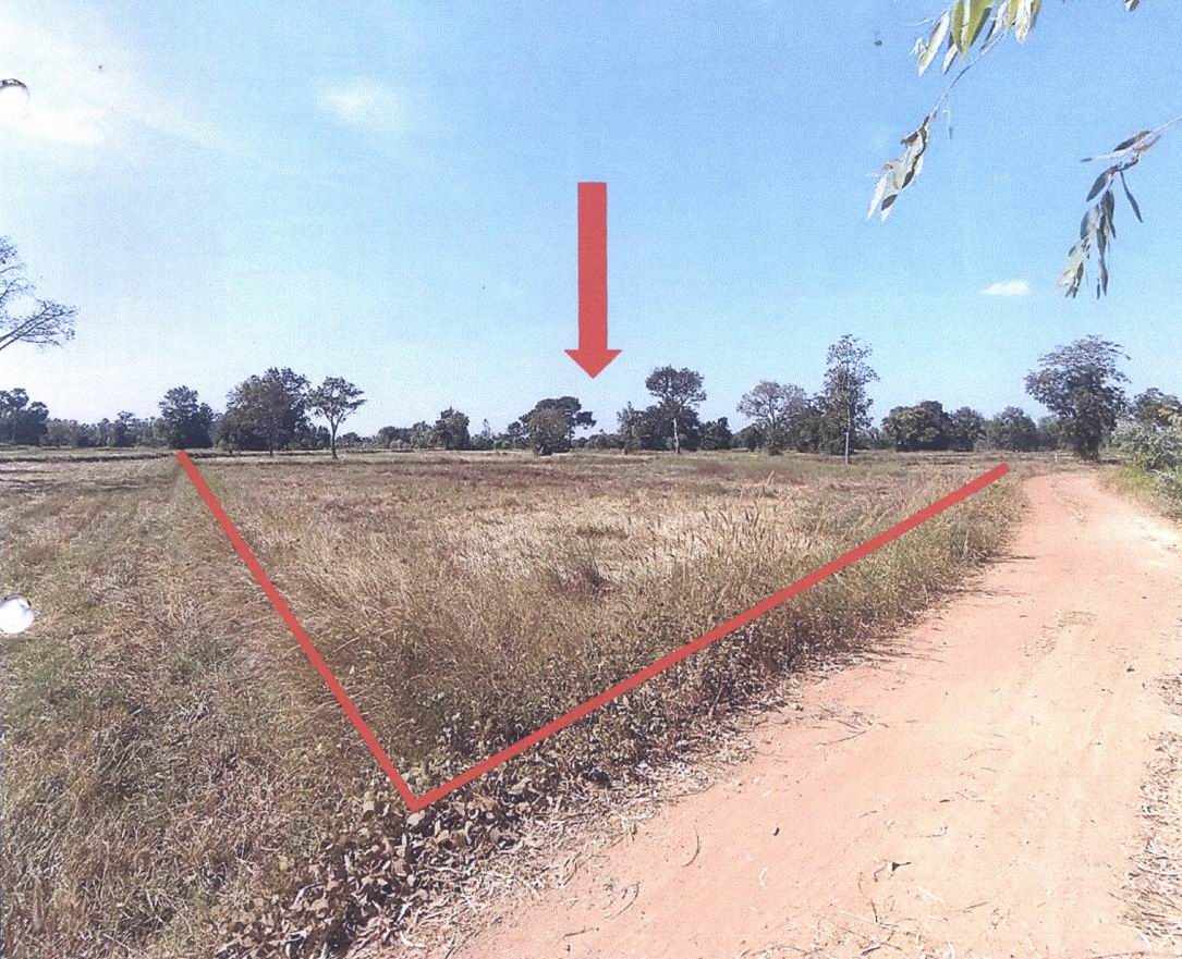 รูปที่ดินว่างเปล่า ปราสาทเยอ ไพรบึง ศรีสะเกษ