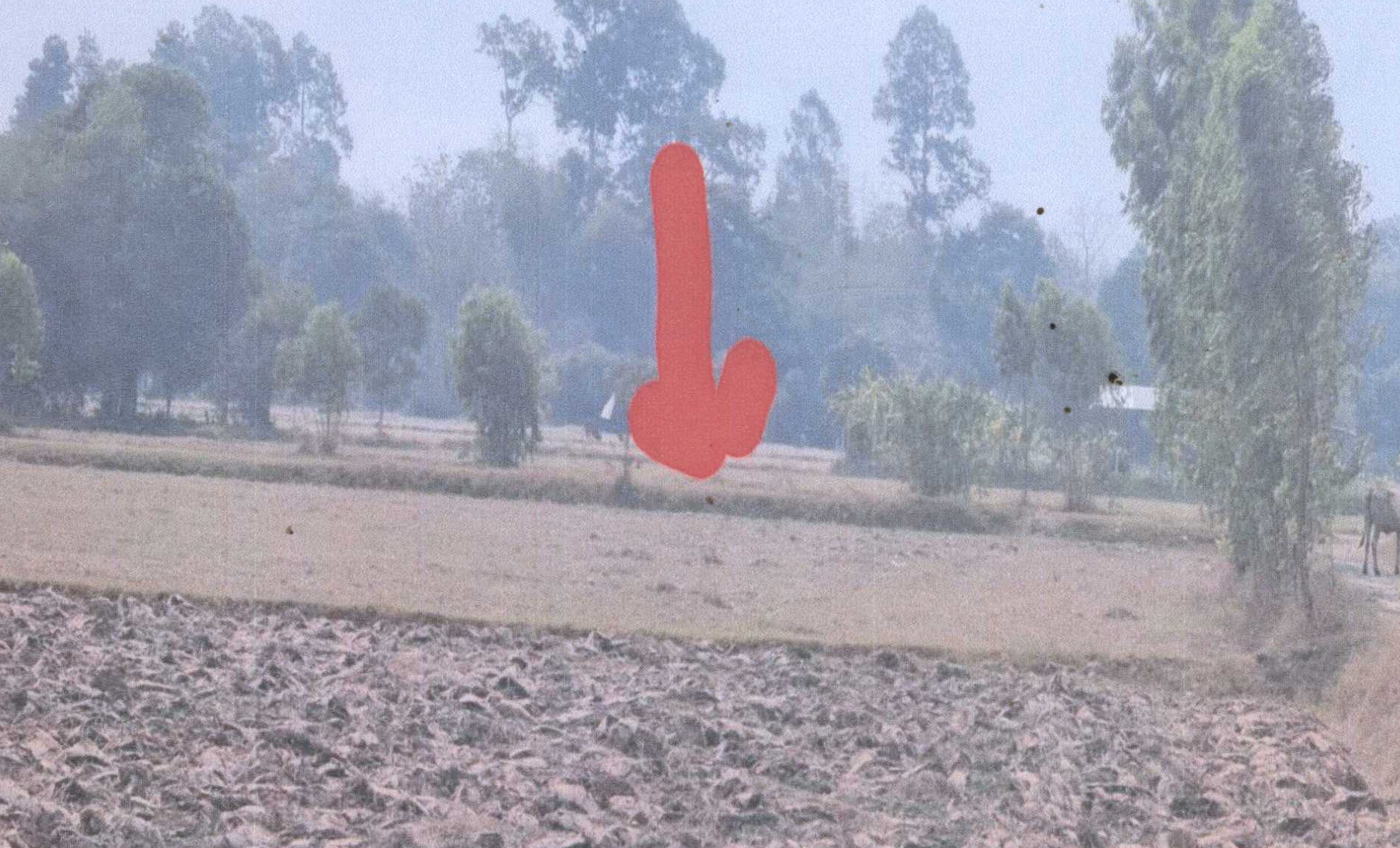 รูปที่ดินว่างเปล่า ฟ้าหยาด มหาชนะชัย ยโสธร