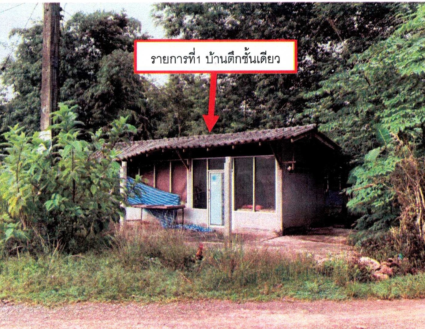 รูปที่ดินพร้อมสิ่งปลูกสร้าง วังหิน บางขัน นครศรีธรรมราช