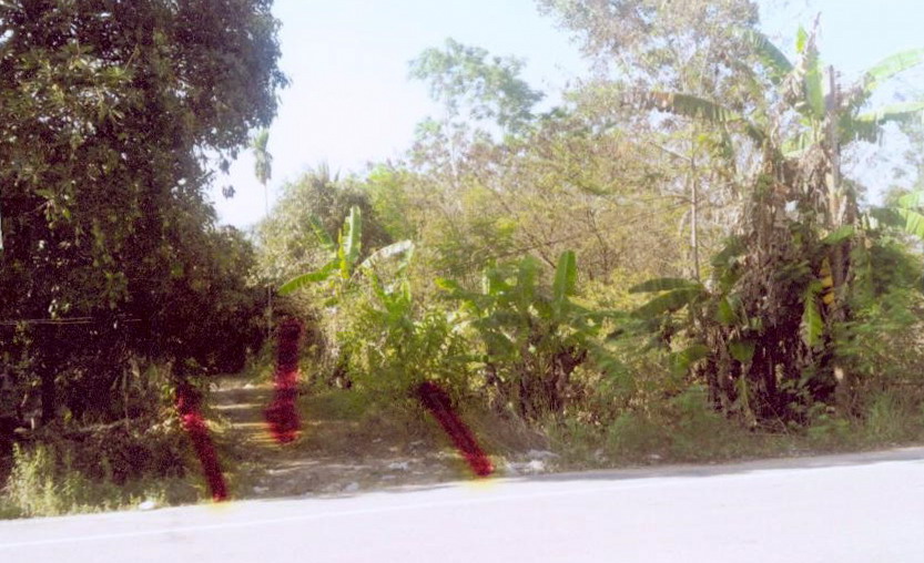 รูปที่ดินว่างเปล่า เขาวิเศษ วังวิเศษ ตรัง