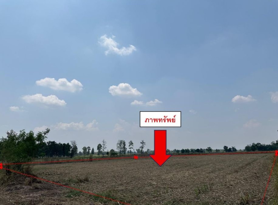 รูปที่ดินว่างเปล่า สีสุก จักราช นครราชสีมา