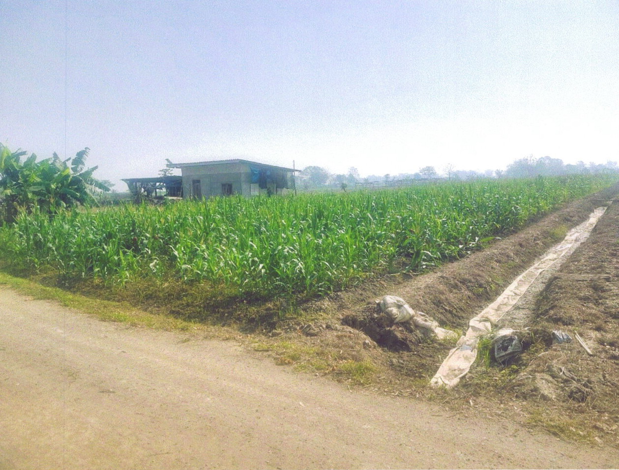 รูปที่ดินว่างเปล่า โป่งงาม แม่สาย เชียงราย