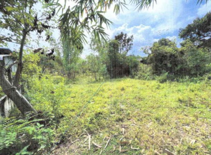 รูปที่ดินว่างเปล่า ไร่น้อย เมืองอุบลราชธานี อุบลราชธานี