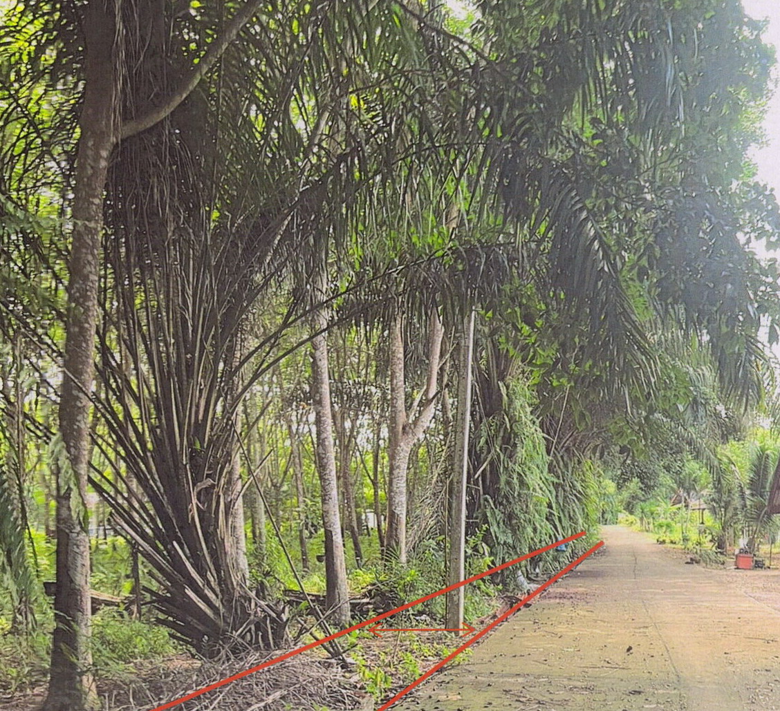 รูปที่ดินว่างเปล่า พะแสง บ้านตาขุน สุราษฎร์ธานี