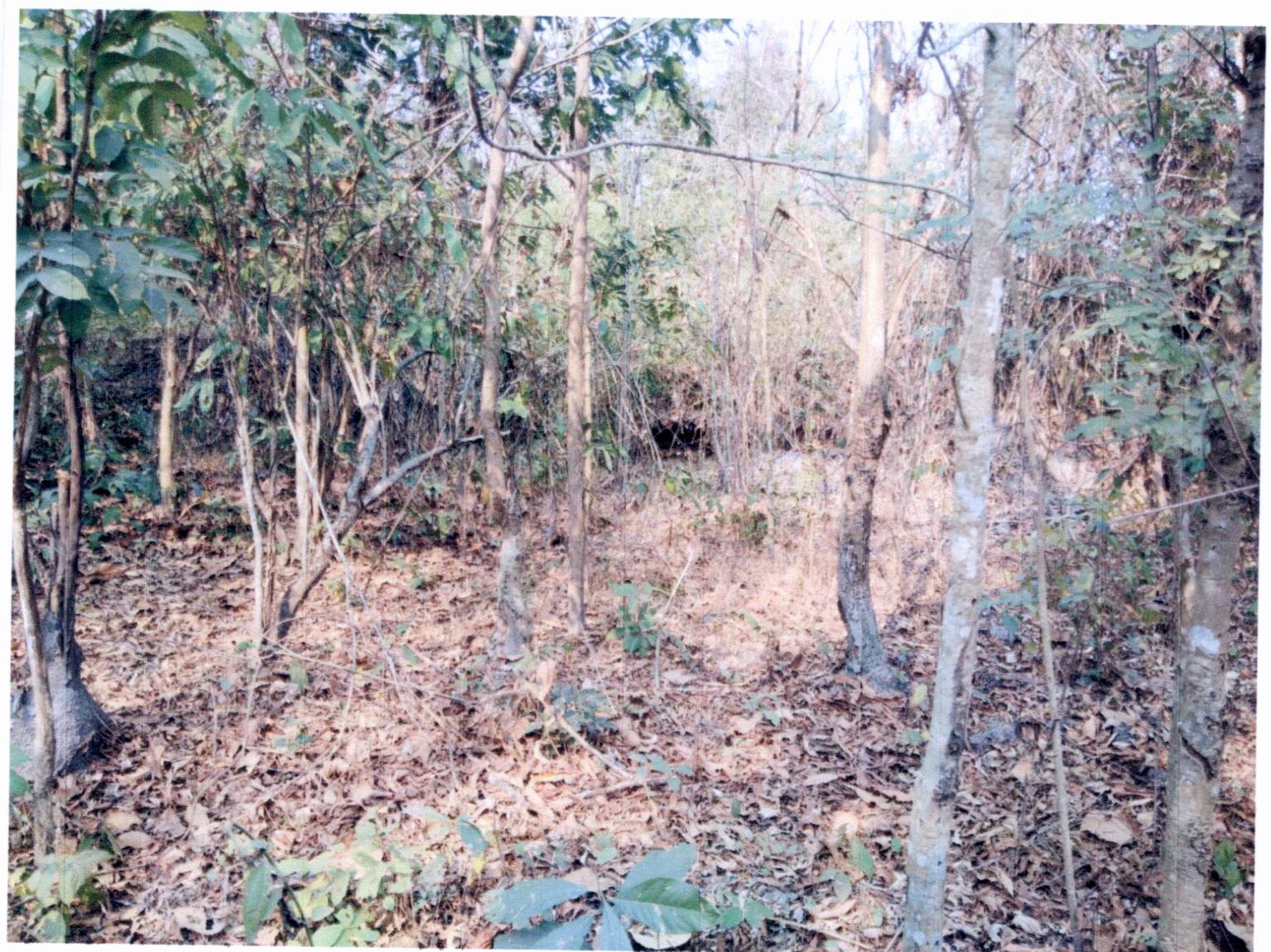 รูปที่ดินว่างเปล่า บ้านเอื้อม เมืองลำปาง ลำปาง