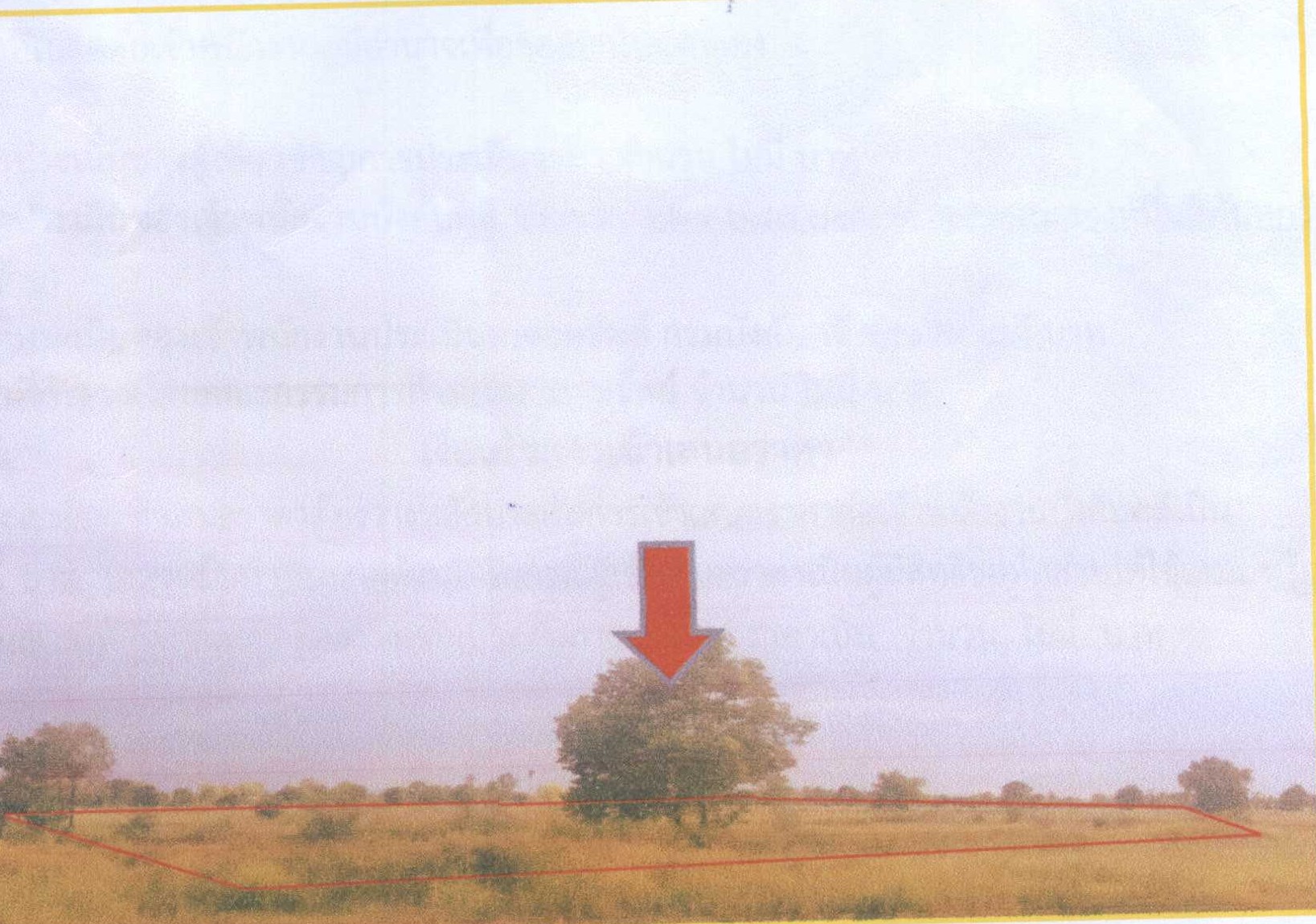 รูปที่ดินว่างเปล่า พุดซา เมืองนครราชสีมา นครราชสีมา